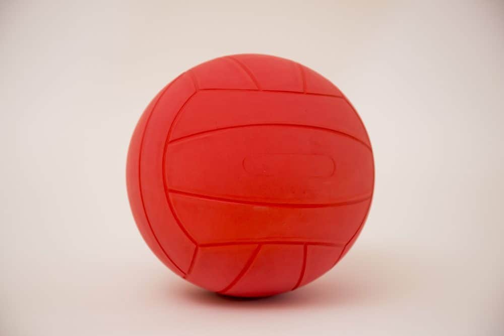 125899Torball