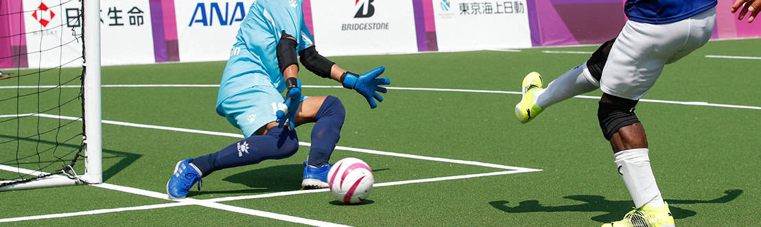 single-Para Sports & Paralympics-top-banner